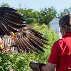 Fotoshooting Zingst 2014