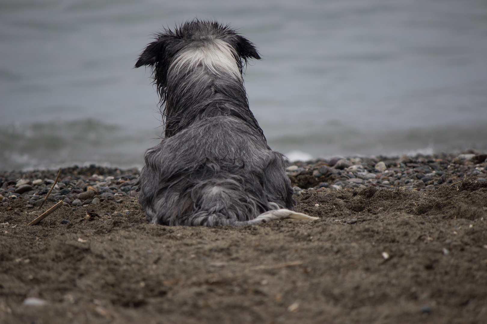 Fotoshootings am Strand von Cecina (Toskana, Italien)...