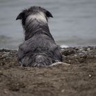 Fotoshootings am Strand von Cecina (Toskana, Italien)...