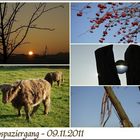 Fotospaziergang am 09.11.2011