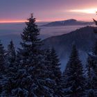 Fotospaziergang auf dem Feldberg