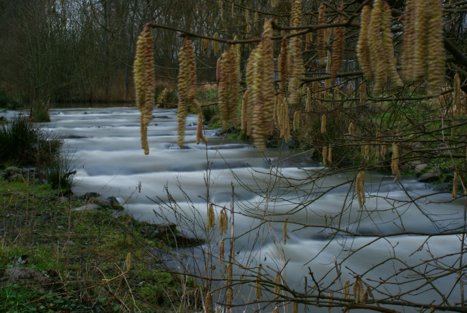 Fotospaziergang Wieseckaue_0018