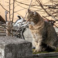 fotostevens Bernd Hausdorf    Stuttgart