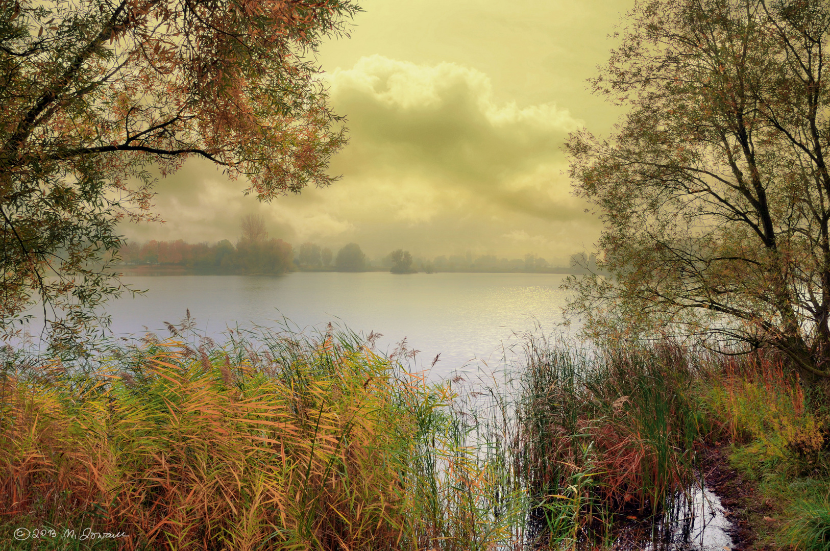 Fototapete "Herbst am Weiher"