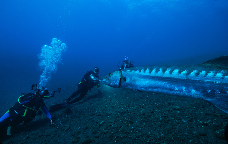 Fototermin mit einem netten Fisch.