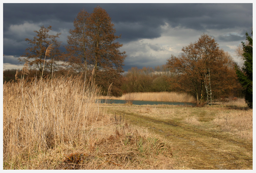 Fototour am See...