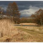 Fototour am See...