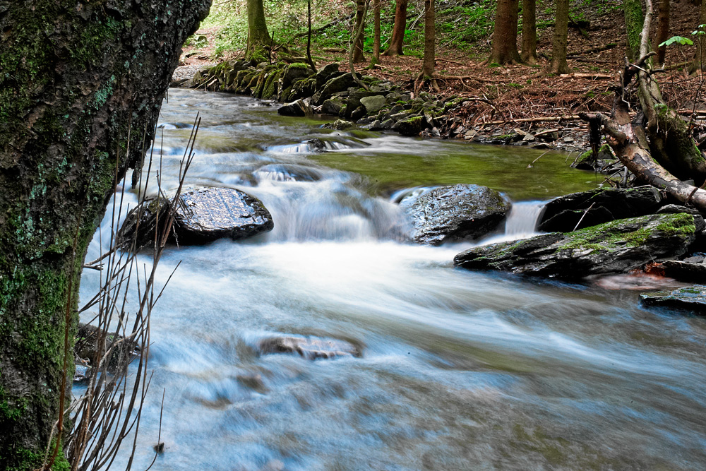 Fototour durch den Nationalpark Hocheifel (3)