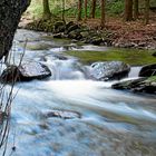 Fototour durch den Nationalpark Hocheifel (3)