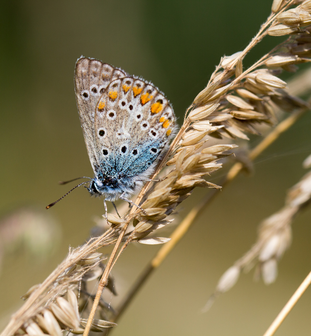 Fototour Grenzwald Kaldenkirchen