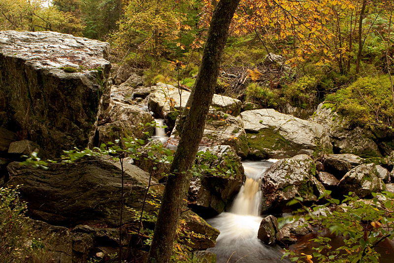 Fototour Hohes Venn – Eifel – Ardennen - Wilde Landschaft