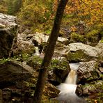 Fototour Hohes Venn – Eifel – Ardennen - Wilde Landschaft