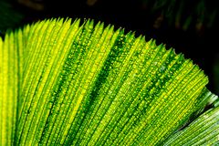 Fototour im Botanischen Garten 01