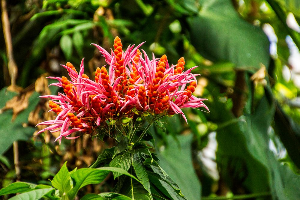 Fototour im Botanischen Garten 02