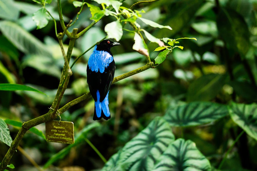 Fototour im Botanischen Garten 06