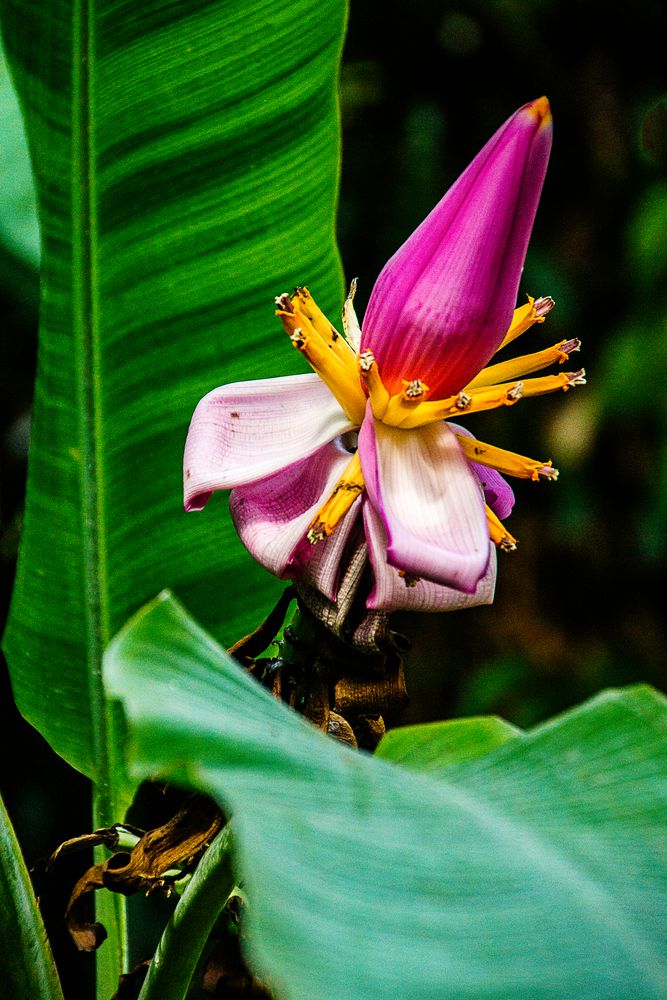 Fototour im Botanischen Garten 08