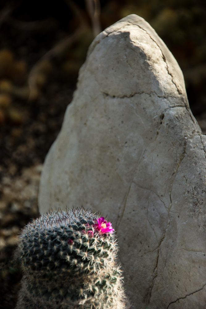 Fototour im Botanischen Garten 09