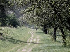 fototour im orphalgrund