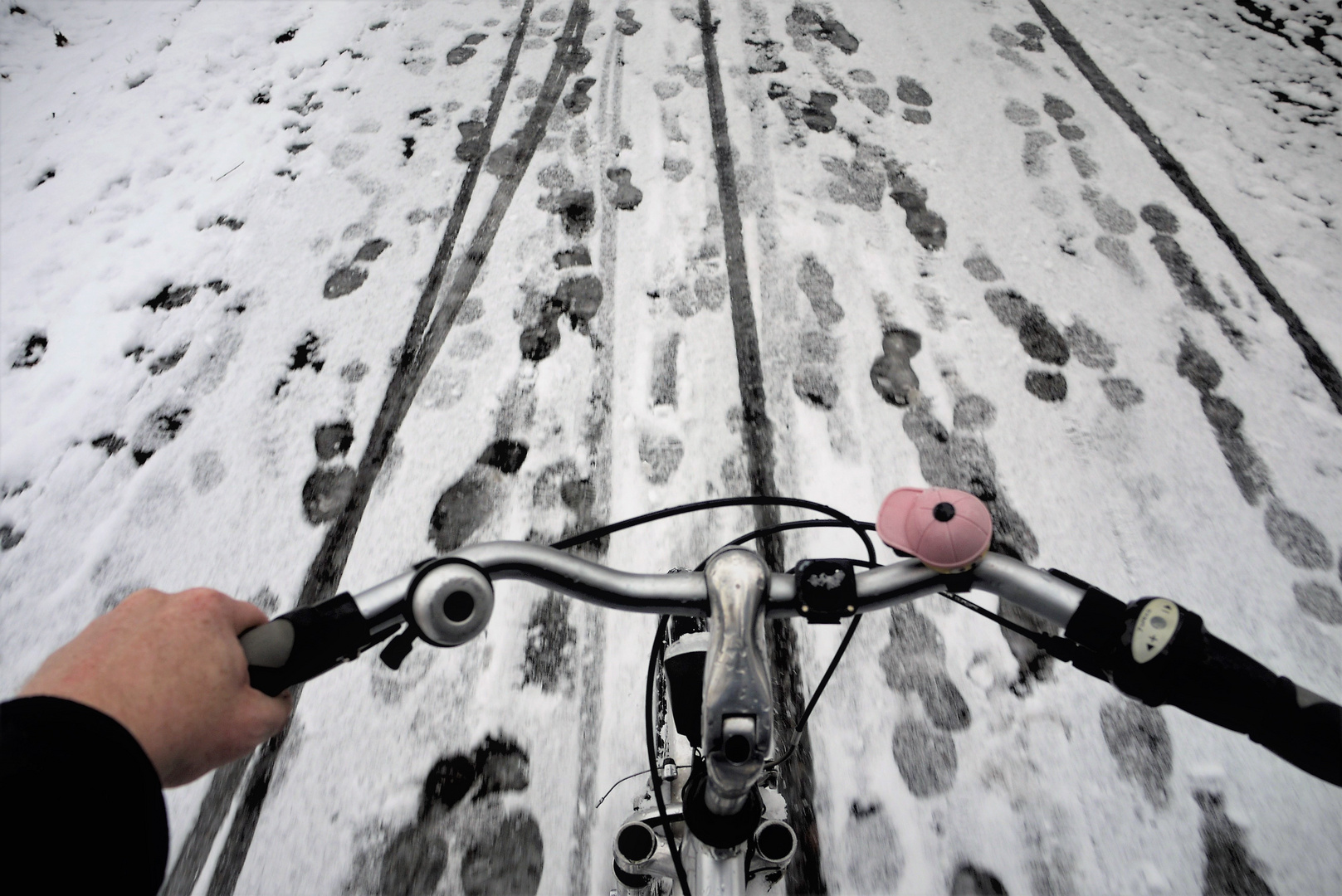 Fototour im Schnee 