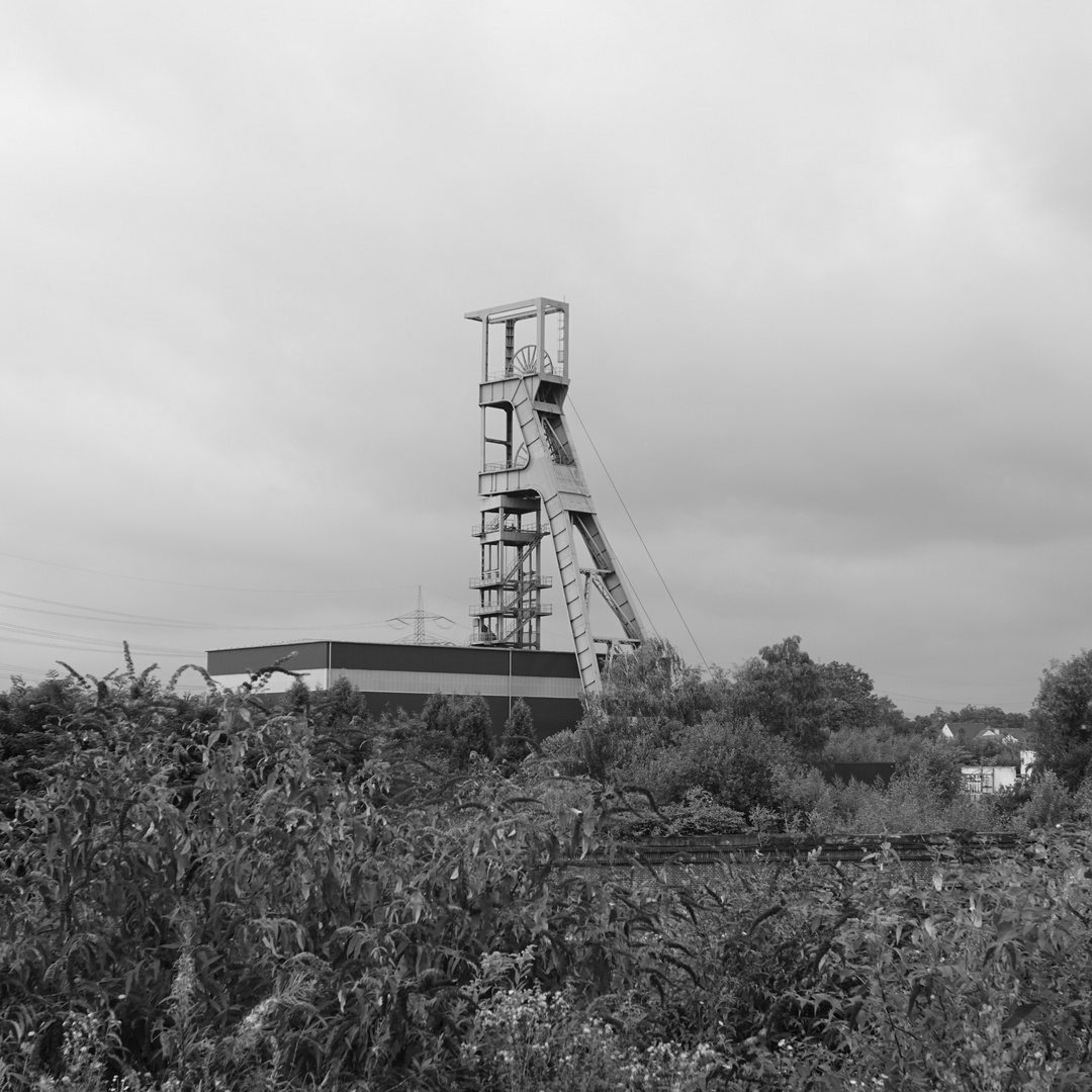 Fototour im toten Gleisbett Essen-Stoppenberg