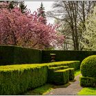 Fototour im Wenkenpark 02