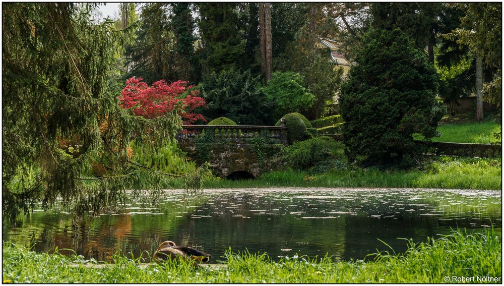 Fototour im Wenkenpark 05