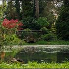 Fototour im Wenkenpark 05