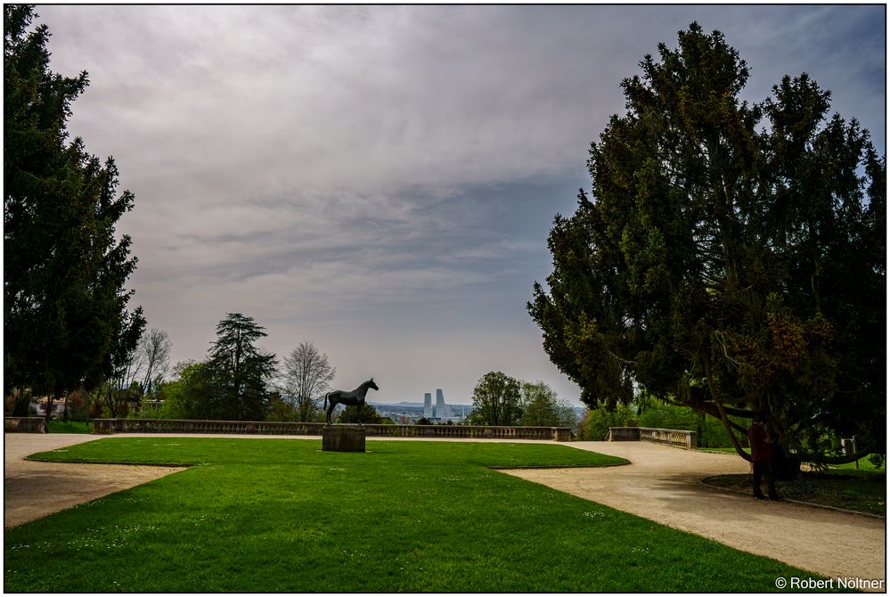 Fototour im Wenkenpark 06