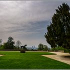 Fototour im Wenkenpark 06