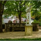 Fototour im Wenkenpark 07