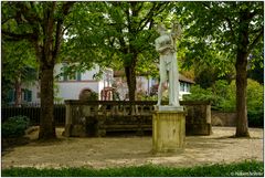 Fototour im Wenkenpark 07