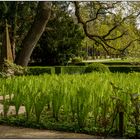 Fototour im Wenkenpark 10