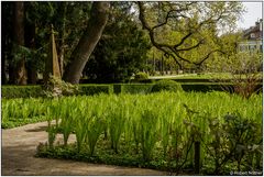 Fototour im Wenkenpark 10