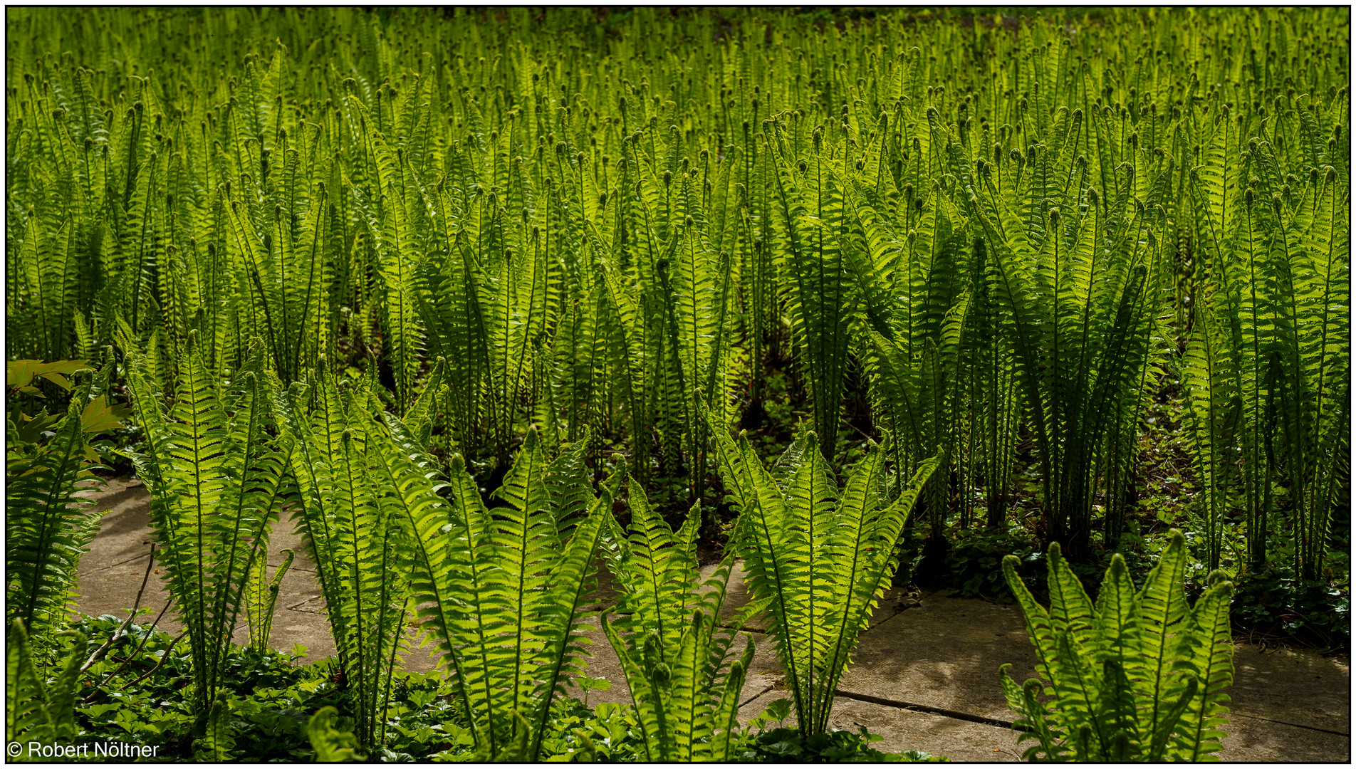 Fototour im Wenkenpark 11