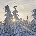 Fototour in den Harz 3 (U)