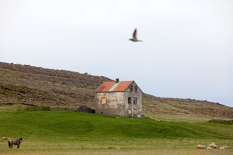 Fototour Island - Langanes  - Fotoreise Natur- und Landschaftsfotografie