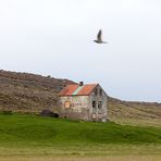 Fototour Island - Langanes  - Fotoreise Natur- und Landschaftsfotografie