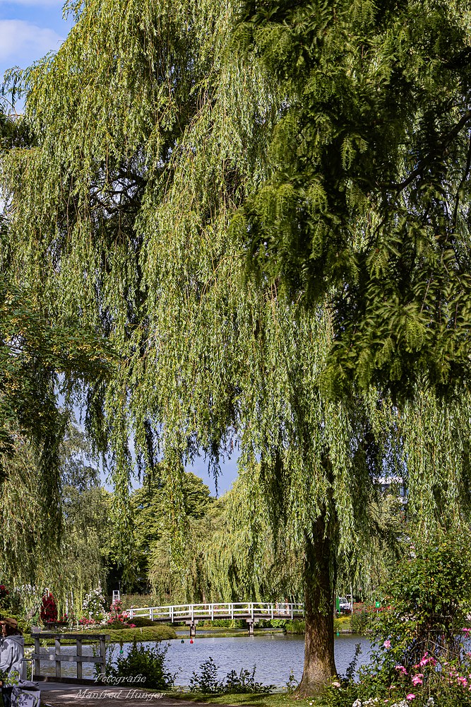 Fototour / Rosarium Uetersen / 220705 / 15