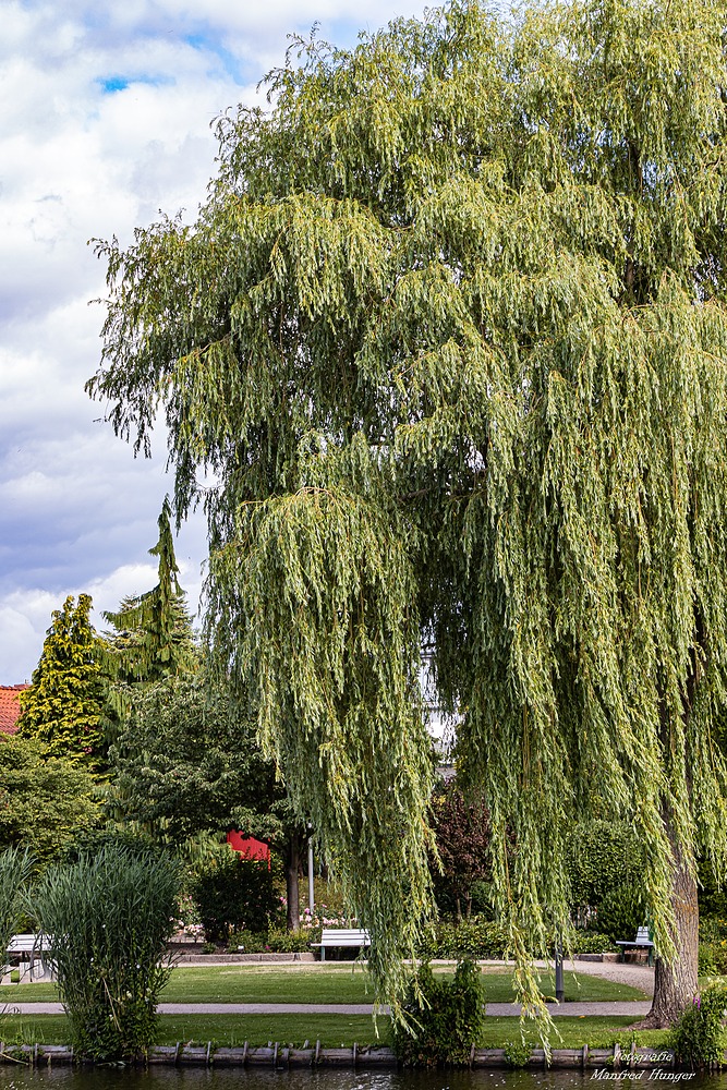 Fototour / Rosarium Uetersen / 220705 / 18