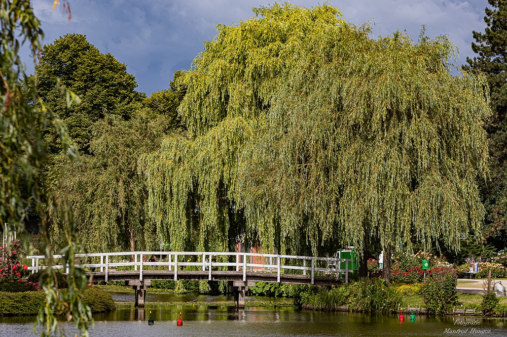 Fototour / Rosarium Uetersen / 220705 / 19