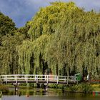 Fototour / Rosarium Uetersen / 220705 / 19