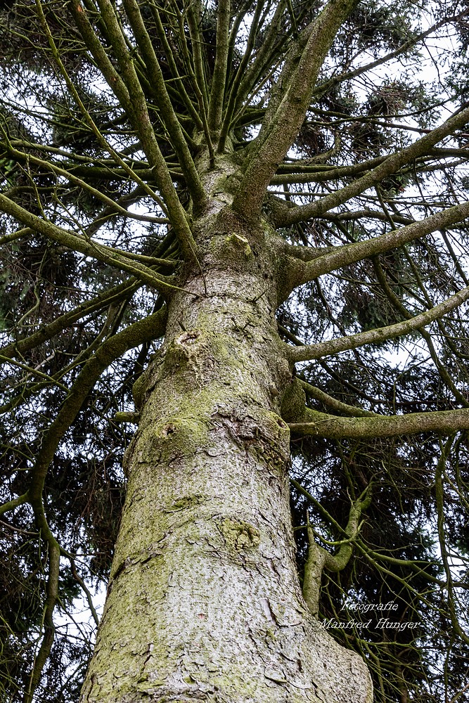 Fototour / Rosarium Uetersen / 220705 / 20