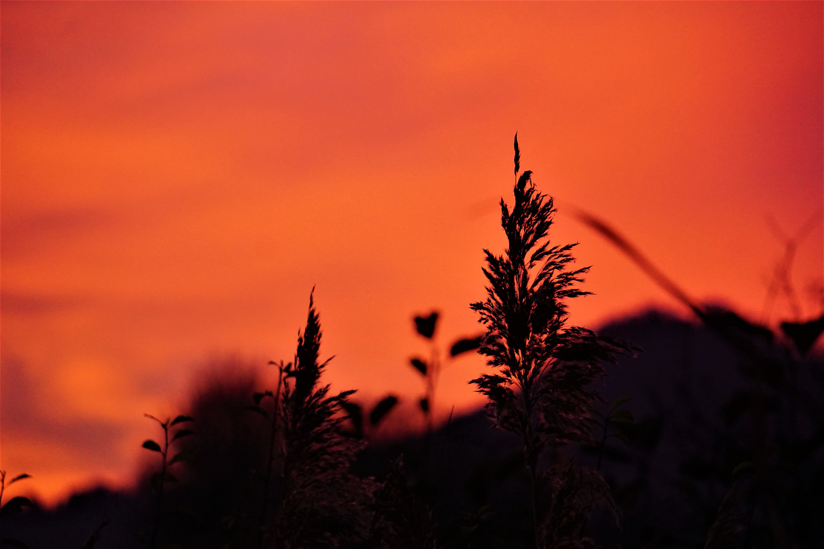 Fototour " Sonnenuntergang "