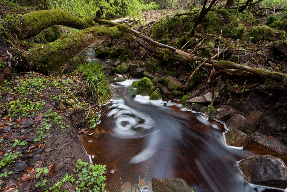 Fototour Weserbergland I