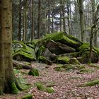 Fototour zur Milseburg ...