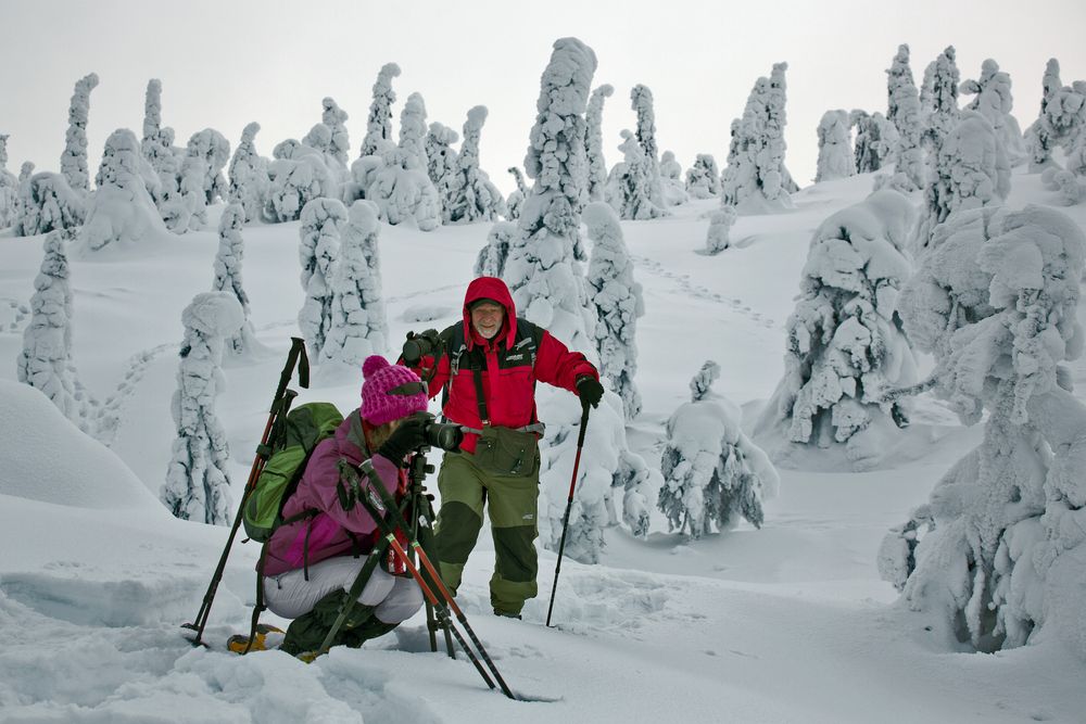 Fototours Finnland Februar 2013