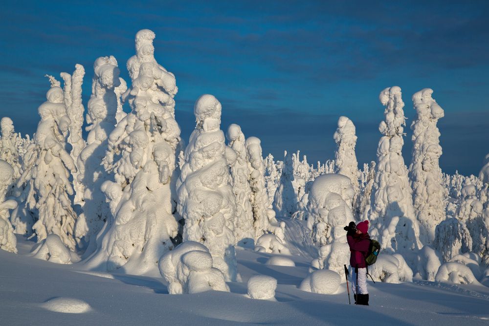 Fototours im finnischen Winter