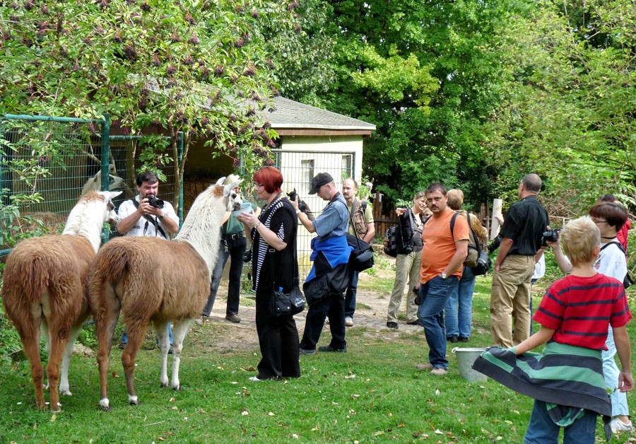 Fototreff, heute im Zoo Aschersleben