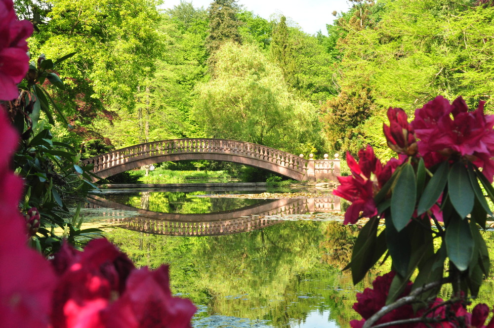 Fototreff pfingsten 2013 Brücke in Blüte out of cam jpeg