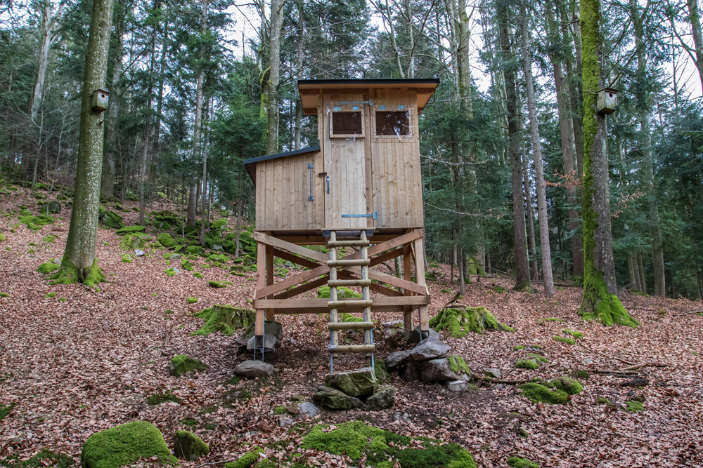 Fotoversteck bei Dohlennistkästen